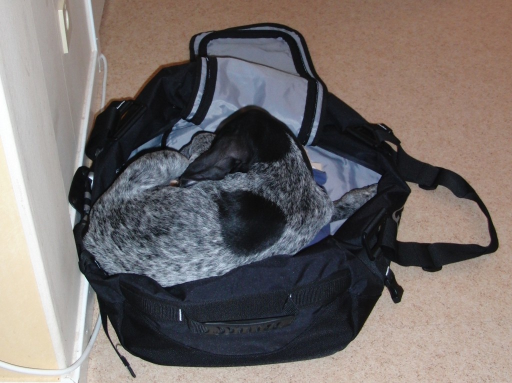 Troy hjälper matte att packa upp väskan