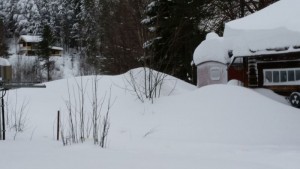 Sndrevat där stigen gick