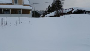 Vart tog gången vägen