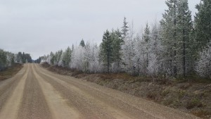 1020-frostigt-vid-vagen-mer