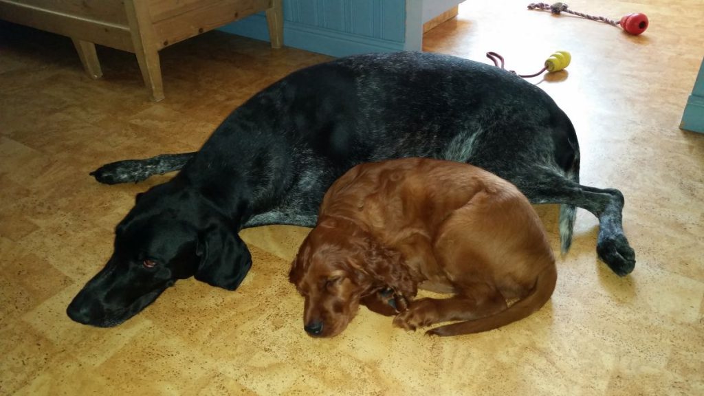 20160709-troy-ilo-sover