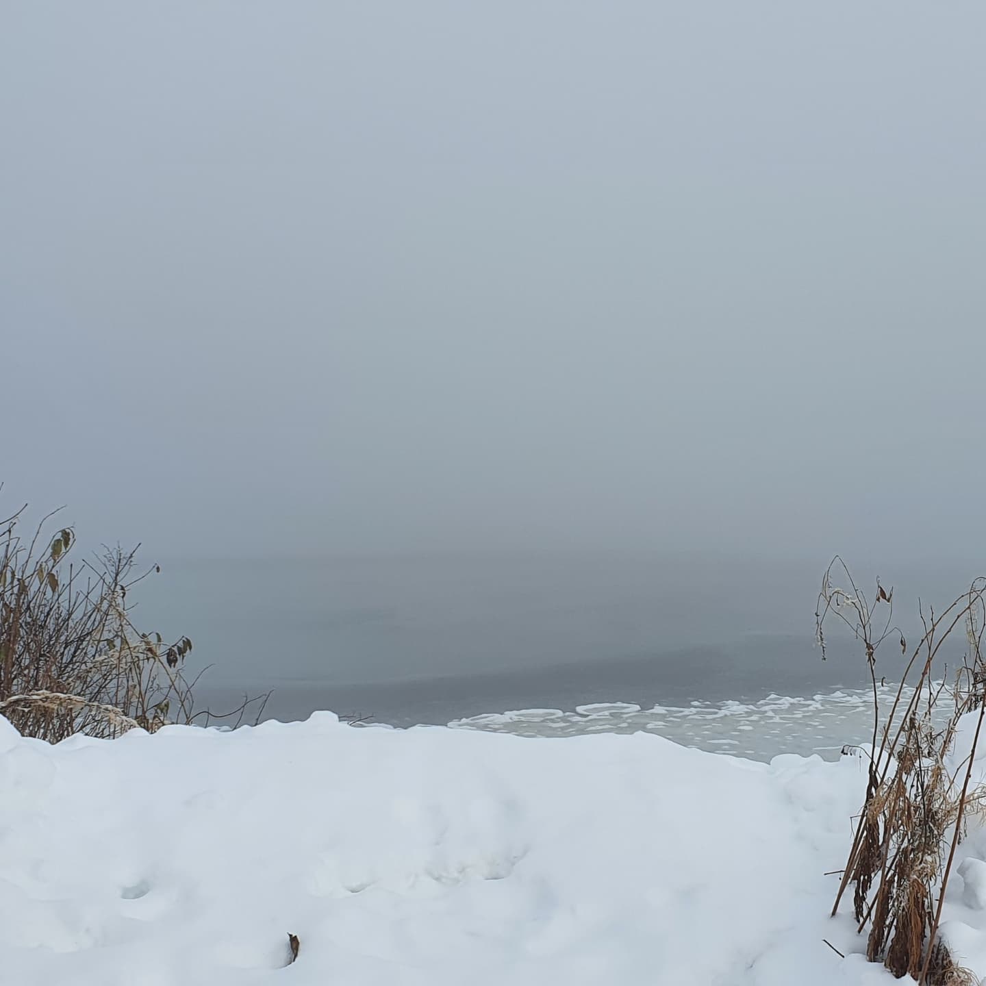 Vem fasen har beställt detta gråväder, det var ju så fint i lördags med minusgrader o sol